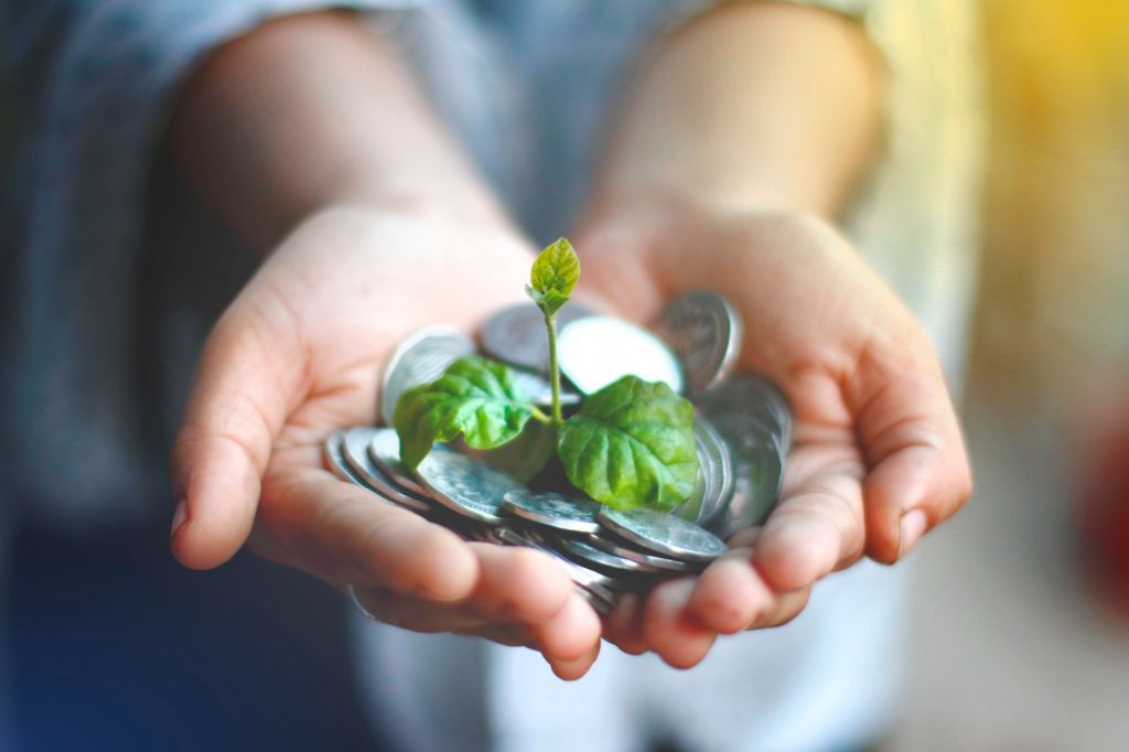 Sustainability