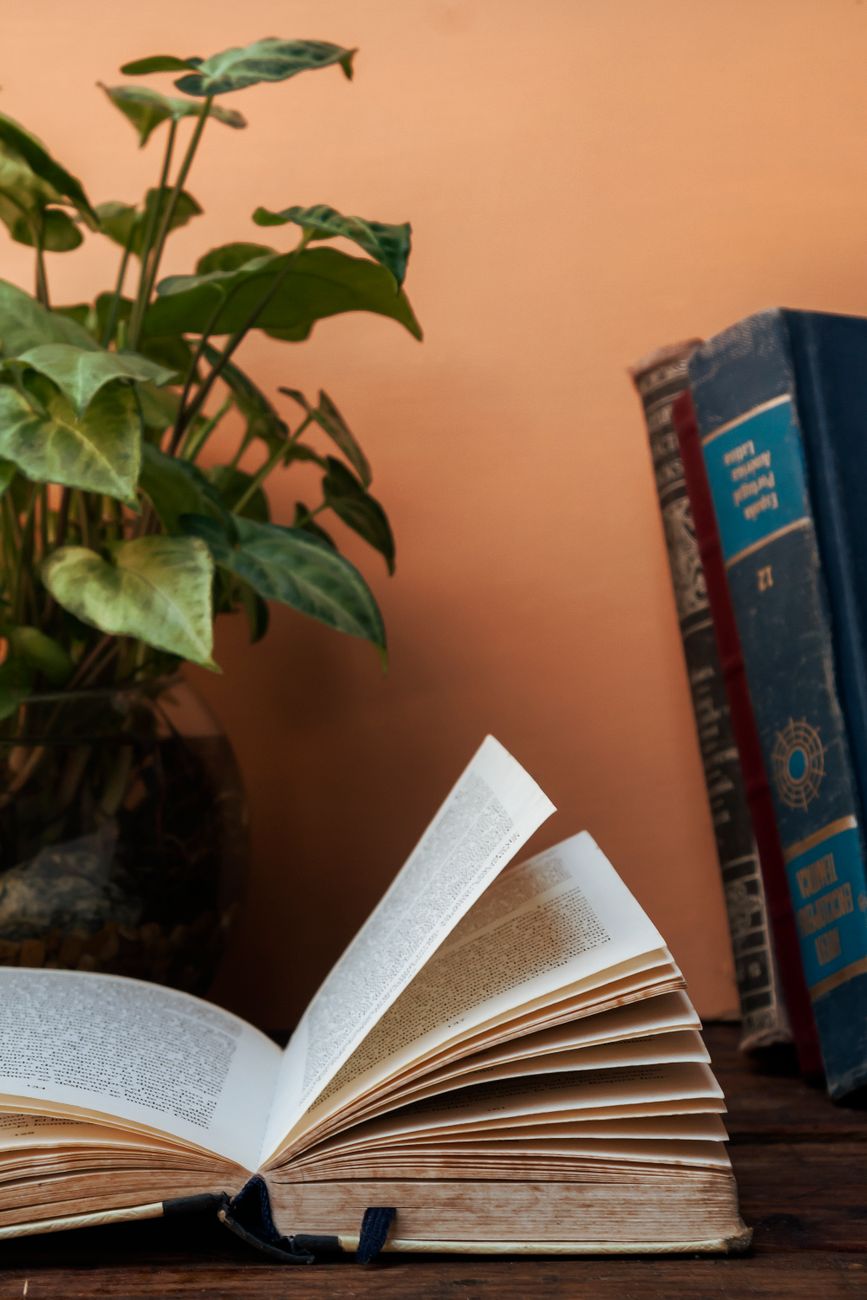 The Moss & Mind&nbsp;Library